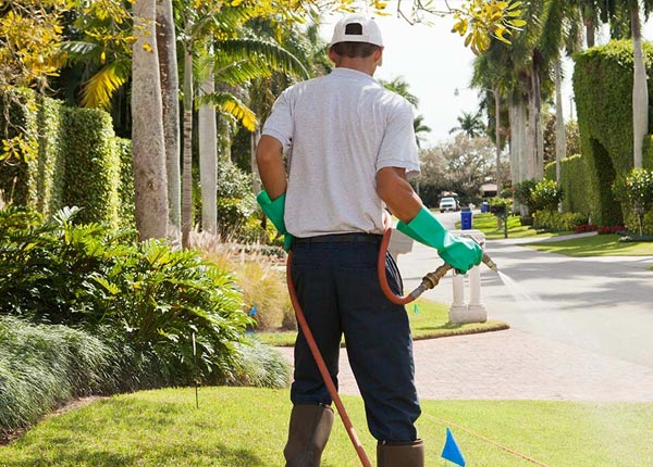 About Ludlow MA Pest Control Pros